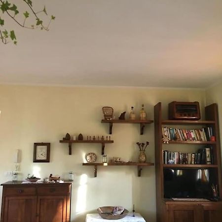 Il Mondo Magico - Immerso Nella Natura - Fauglia 外观 照片